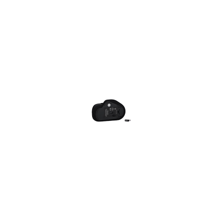 SF-MOUSE-B
